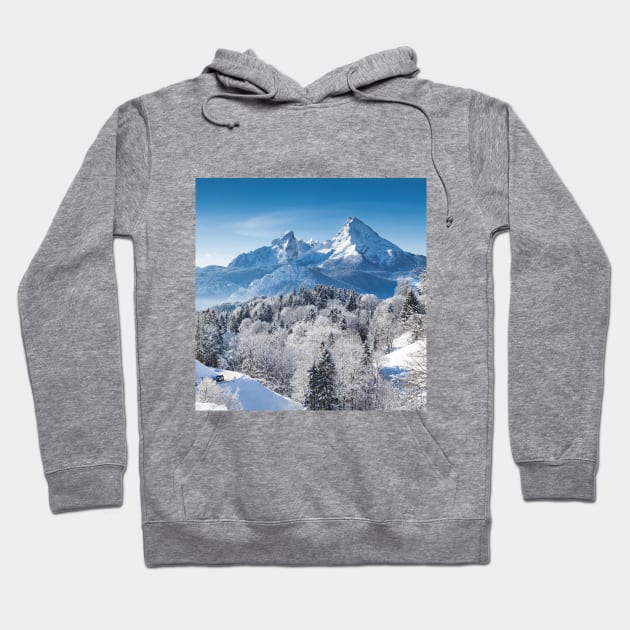 SCENERY 06 - Winter Snow Mountain Tree White Ice Hoodie by artvoria